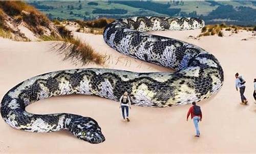 目前世界上最大的蛇的体长和直径,目前世界上最大的蛇
